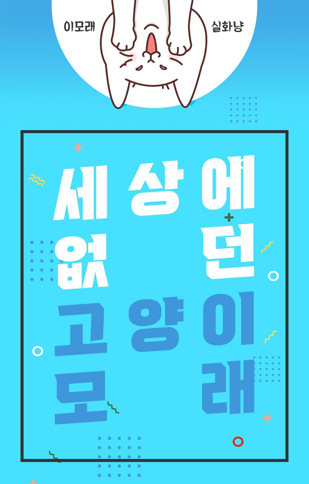 나응식 수의사의 캣썸 노블샌드23 (6kg)-상품이미지-8
