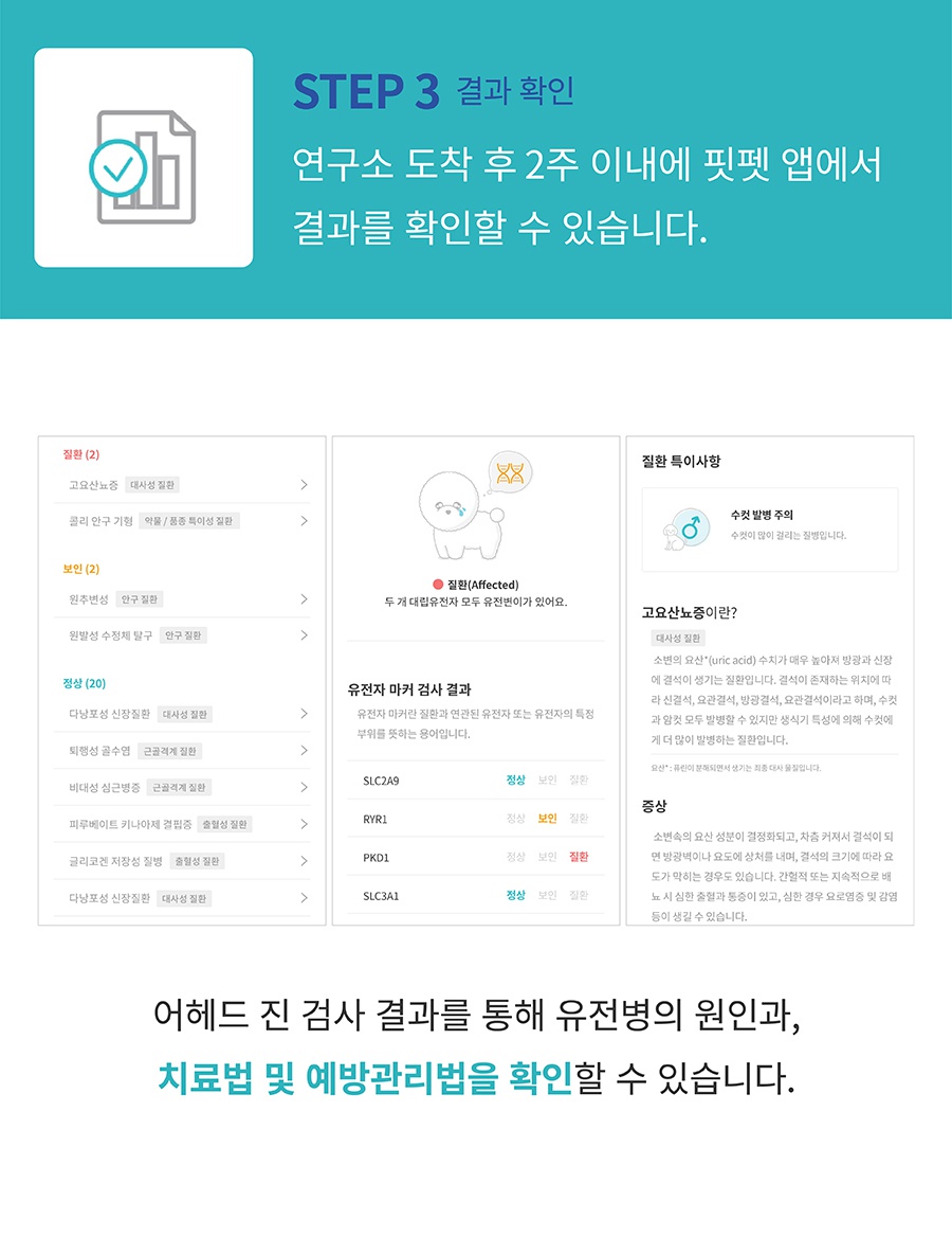 핏펫 어헤드 진 유전병 검사 키트-상품이미지-8