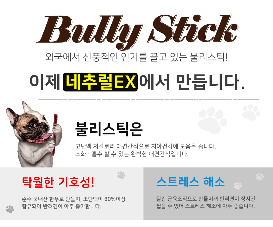 네츄럴이엑스 불리스틱 대형 (1P)-상품이미지-9