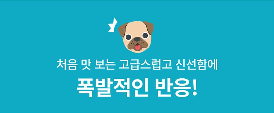 it 츄잇 중대형견용 (플레인/산양유)-상품이미지-5