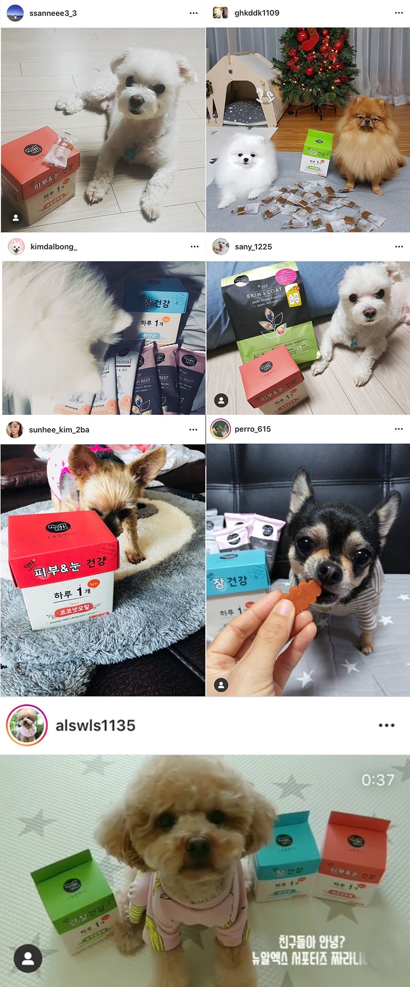 뉴알엑스 닥터 장 건강 (240g)-상품이미지-0